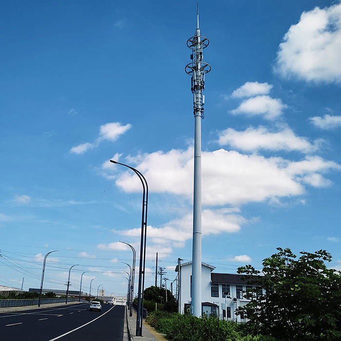 高強度低合金構造鋼板のための梯子とプラットフォームを持つ熱浸し電圧電信ポスト